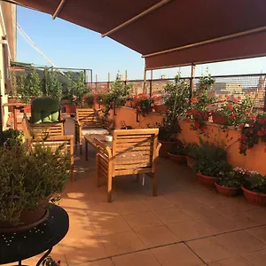 la-terrazza-di-evelina-guest-house-rome.it-romehotels.com/
